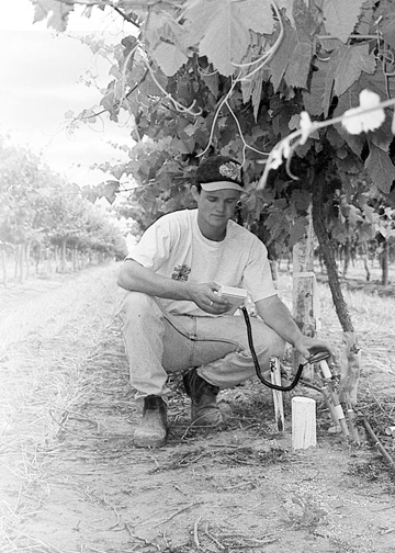Monitor soil moisture with SOILSPEC vinesSS